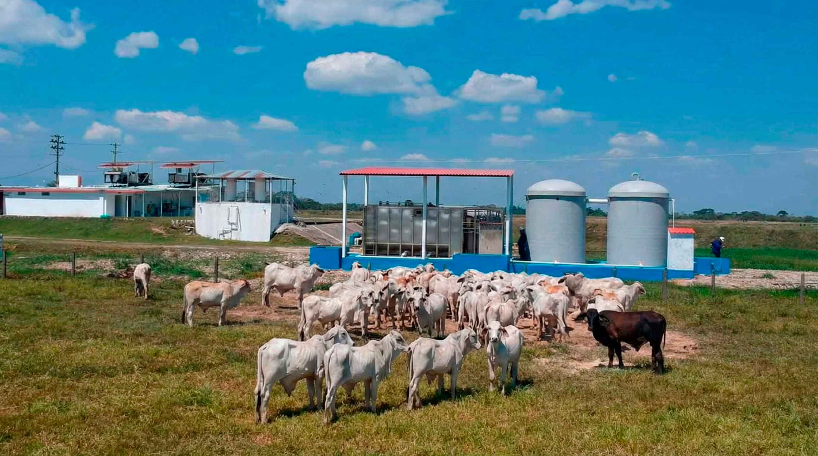 Tratamiento aguas agroindustriales