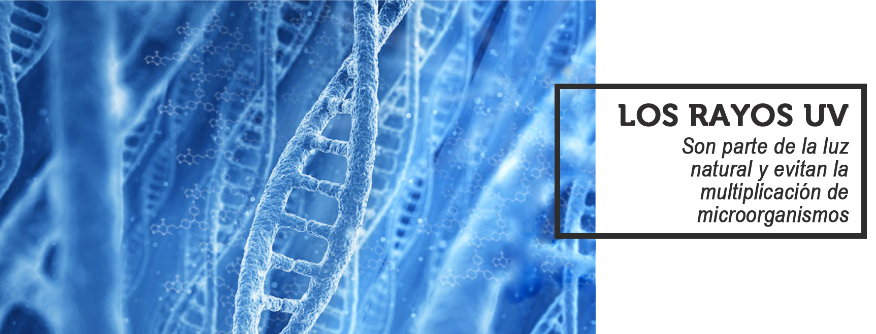 Especialistas en Tratamiento de Aguas